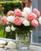 Paeonia bridal bouquet mix
