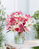 Lilium oriental pastel bouquet
