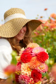 Lady holding bunch of dahlias