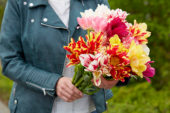 Tulipa Candy Club mix