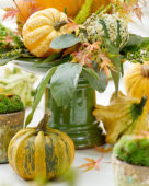 Pumpkin collection, autumn ambiance