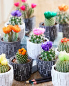 Cactus disco bloemen mix