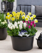 Spring container