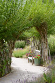 Willow arch