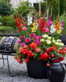 Kleurrijke zomerbloemen combination