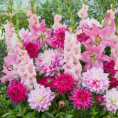 Blushing zomerbloemen mix