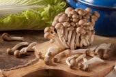 Buna-shimeji mushrooms, Hypsizygus tessulatus, Buna shimeji mushrooms, Hypsizygus tessulatus