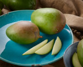 Green mango, Mangifera indica