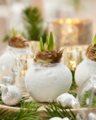 Wax Amaryllis Christmas