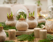 Wax Amaryllis Christmas