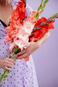 Lady holding mixed bunch of Flamencos gladioli, Forever Bulbs, Gladiolus Ted's Frizzle Lady holding mixed bunch of Flamencos gladioli, Forever Bulbs, Gladiolus Ted's Frizzle