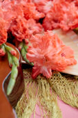 Gladiolus Teds Frizzle flowers, Forever Bulbs, Gladiolus Ted's Frizzle