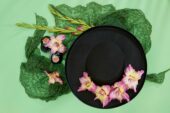 Gladiolus Sunbelt flowers, Forever Bulbs  Gladiolus Sunbelt flowers, Forever Bulbs