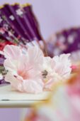 Gladiolus Jarama flower, Forever Bulbs, For Ever Bulbs