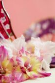 Gladiolus Sunbelt flowers, Forever Bulbs  Gladiolus Sunbelt flowers, Forever Bulbs