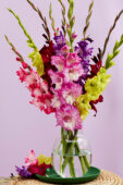 Mixed gladioli bouquet, Forever Bulbs  Mixed gladioli bouquet, Forever Bulbs