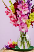 Mixed gladioli bouquet, Forever Bulbs  Mixed gladioli bouquet, Forever Bulbs