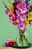 Mixed gladioli bouquet, Forever Bulbs  Mixed gladioli bouquet, Forever Bulbs