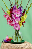 Mixed gladioli bouquet, Forever Bulbs  Mixed gladioli bouquet, Forever Bulbs