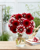 Dahlia Duet, Arabian Night