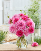 Dahlia Lavender Perfection, Pretty Pien