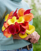 Lady holding mixed calla bouquet