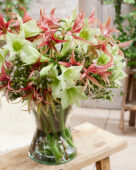 Gemengd amaryllis boeket