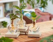 Hydroponics collection