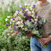 Mixed Campanula medium Champion bouquet