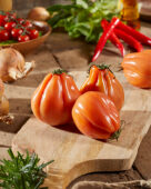Beef tomato, Solanum lycopersicum Coeur de Boeuf