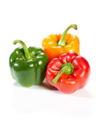 Mixed bell peppers, Capsicum annuum