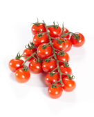 Cherry tomaten, Solanum lycopersicum