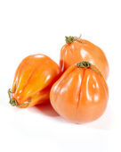 Vleestomaat, Solanum lycopersicum Coeur de Boeuf