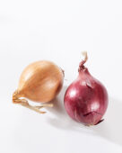 Onions, Allium cepa