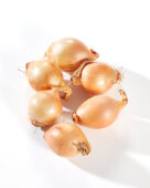 Mini onions yellow, Allium cepa