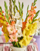 Mixed Gladdies in vase