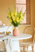 Gladdies in vase, Gladiolus Luna