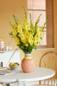 Gladdies in vase, Gladiolus Luna