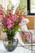 Gladdies in vase, Gladiolus Lizzy