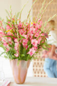 Gladdies in vase, Gladiolus Kelly