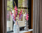 Mixed Gladdies in vase