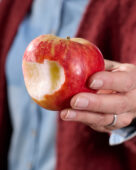 Apple, Malus domestica Elstar
