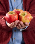 Apples, Malus domestica Elstar