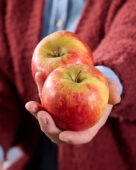 Apples, Malus domestica Elstar