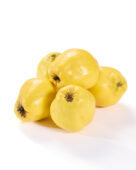 Quinces, Cydonia oblonga