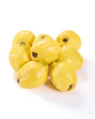 Quinces, Cydonia oblonga