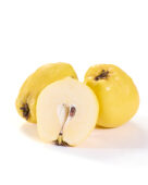 Quinces, Cydonia oblonga