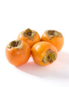 Persimmon, Diospyros kaki