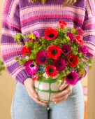 Anemone coronaria bouquet
Anemone Galil Purple
Anemone Marianne Red
