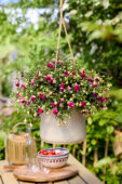 Bella Fuchsia Georgia